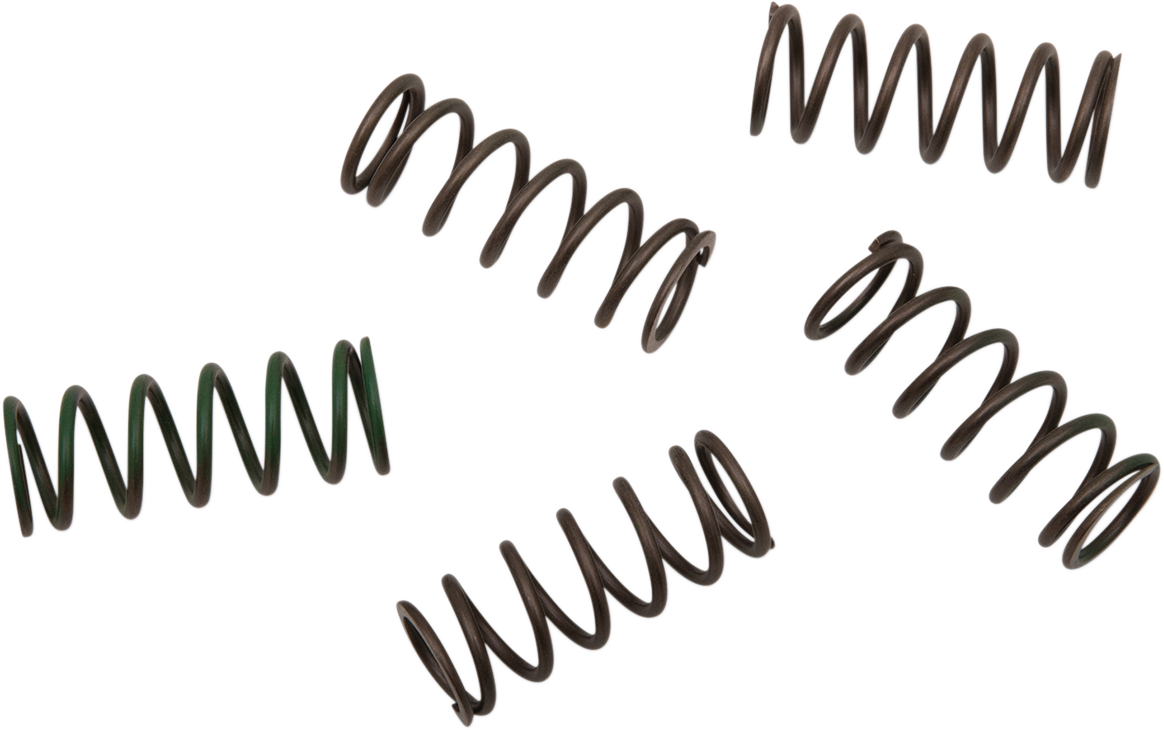 Hinson Racing Hi-Temp Clutch Spring Kit CS294-5-0109 for Honda, Husqvarna, KTM and Suzuki