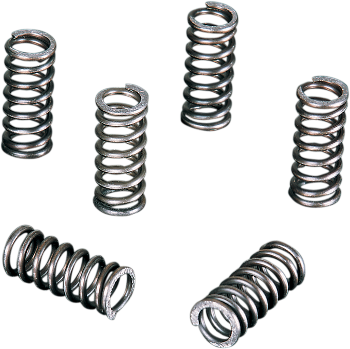 Vesrah SK-321 Clutch Spring Set for Suzuki