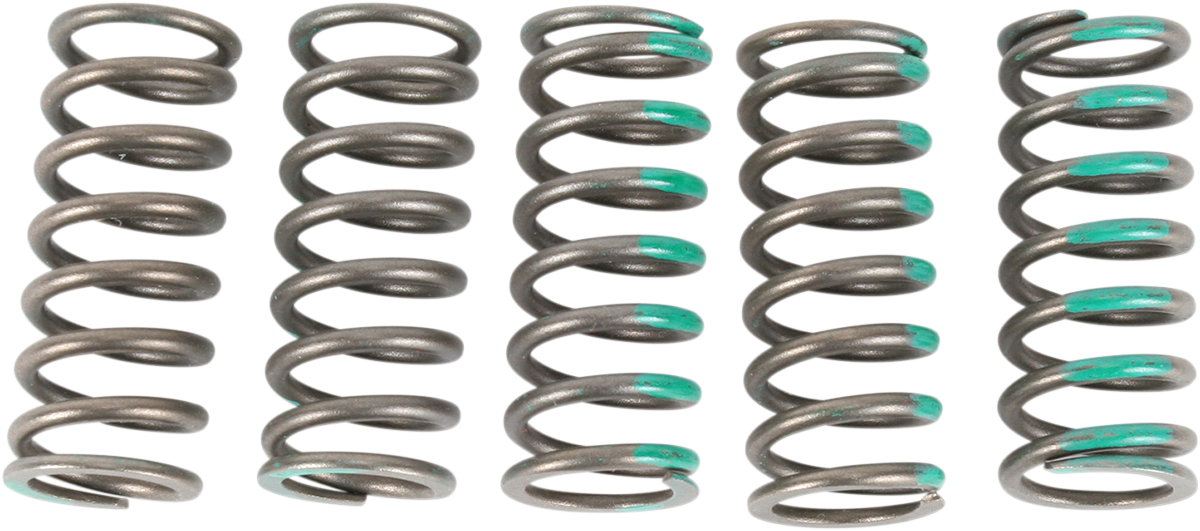 Pro Circuit CSK19450-CS Clutch Springs for Kawasaki KX450F