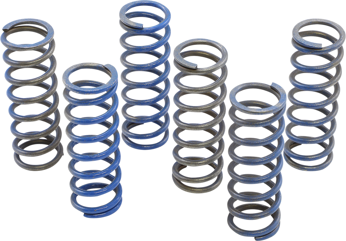 Hinson Racing Hi-Temp Clutch Spring Kit for Honda CS130-6-8602