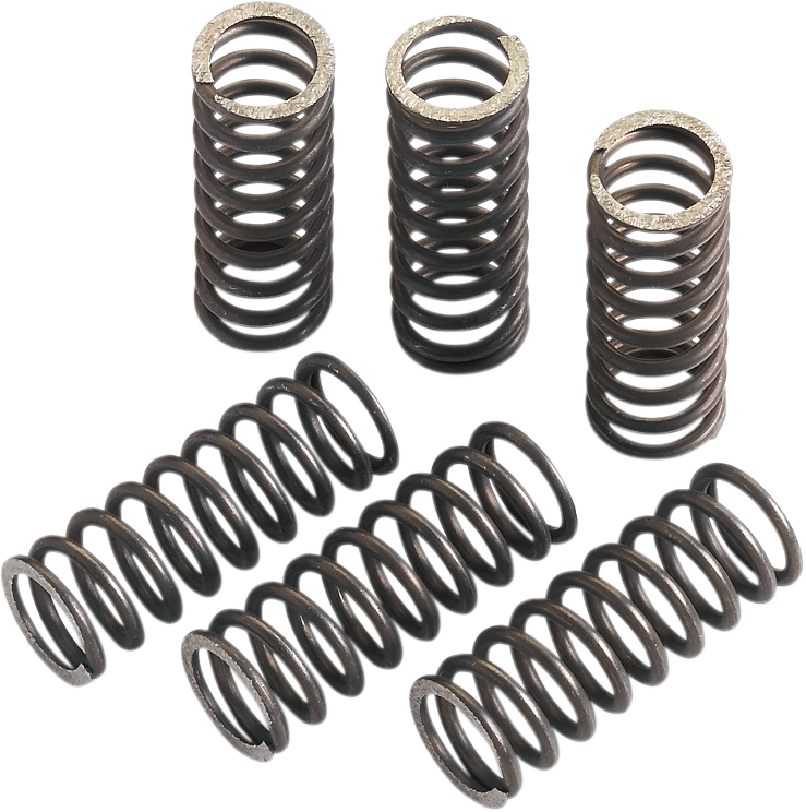 Moose Offroad Clutch Springs for Suzuki RM125 - MHDS27-5