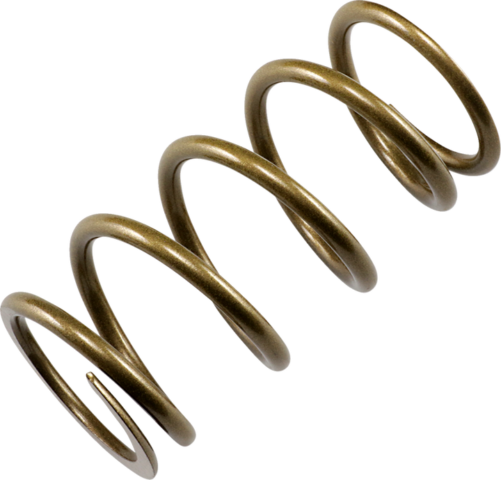 EPI Primary Clutch Spring