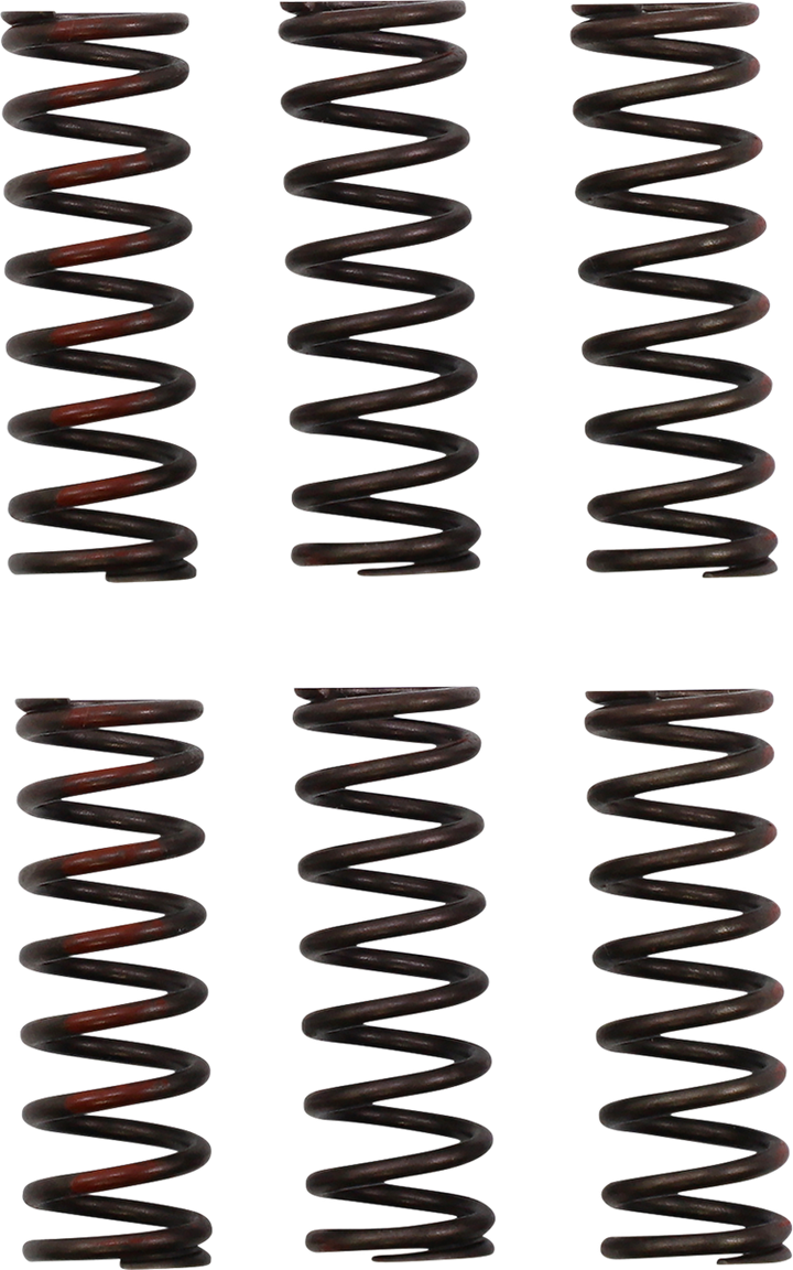 Pro Circuit CSH21450-CS Clutch Springs for Honda CRF450R