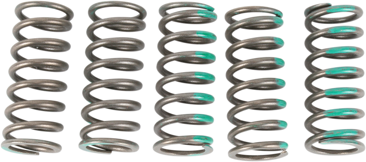 Pro Circuit CSK19450-CS Clutch Springs for Kawasaki KX450F