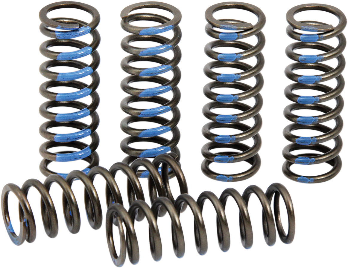 Pro Circuit CSY19250-CS Clutch Springs for Yamaha YZ250F