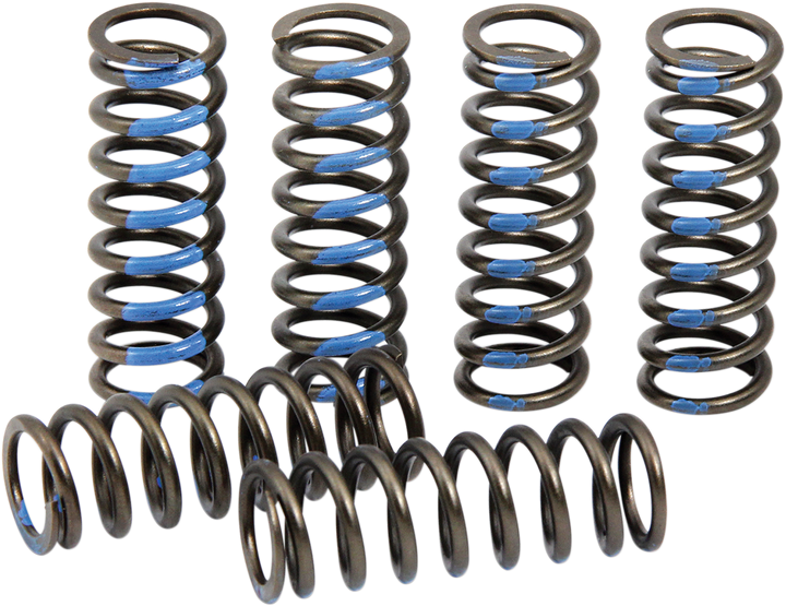 Pro Circuit CSY19250-CS Clutch Springs for Yamaha YZ250F
