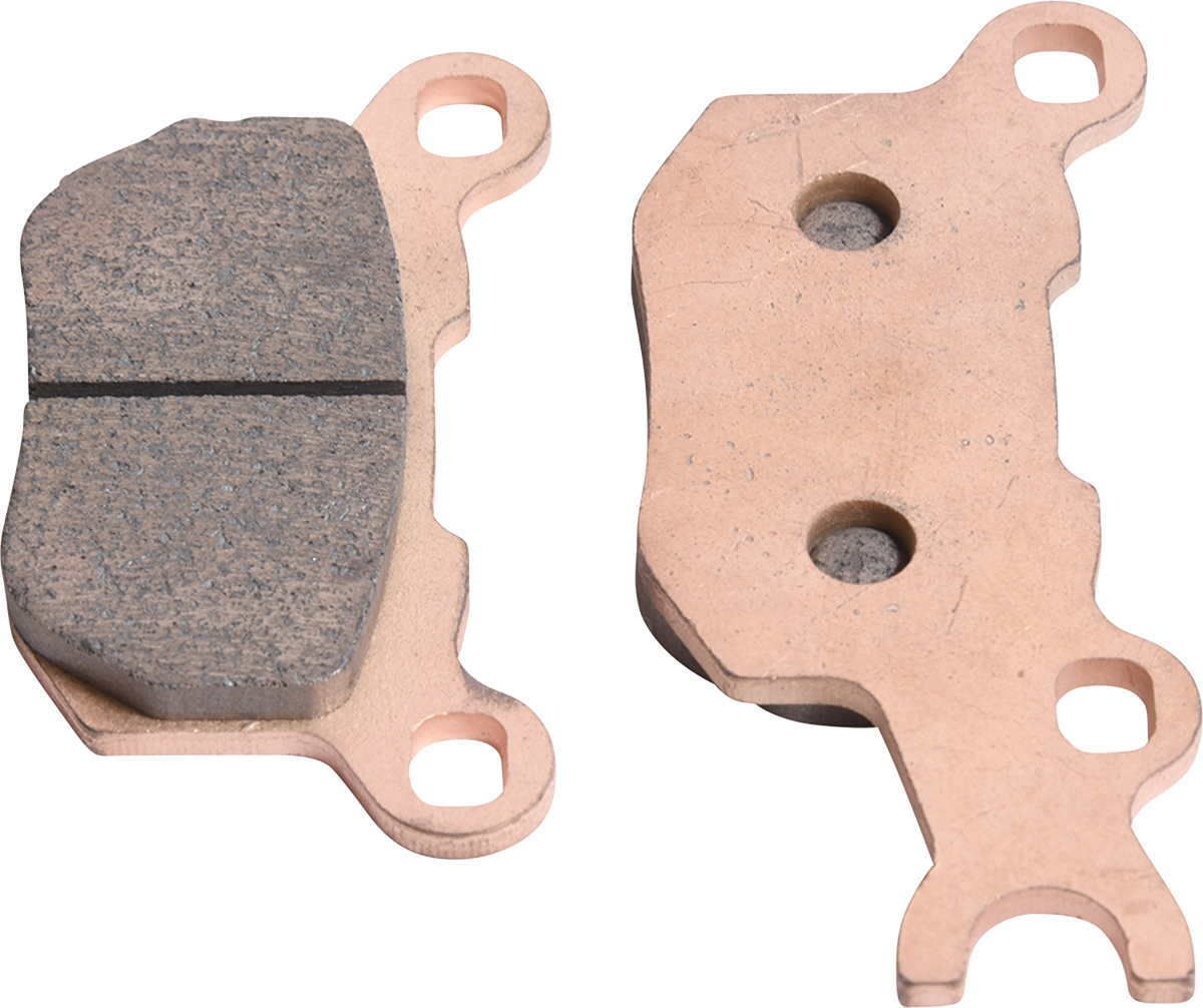 ALL BALLS Sintered Brake Pads - Rear Right 18-8031