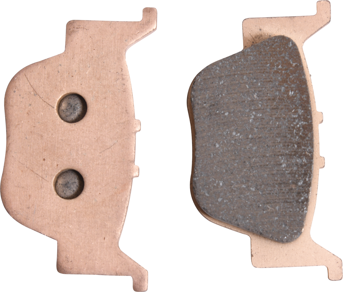 ALL BALLS Sintered Brake Pads - Rear Right 18-8037