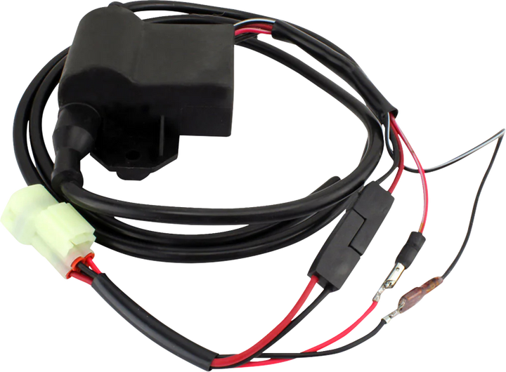 RM Stator CDI Ignition Module