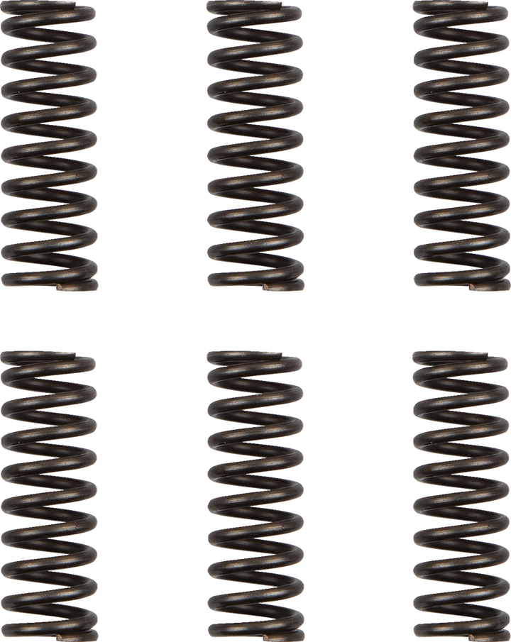 Moose Offroad HDS-156-6 Clutch Springs for Yamaha WR450F and YZ450F