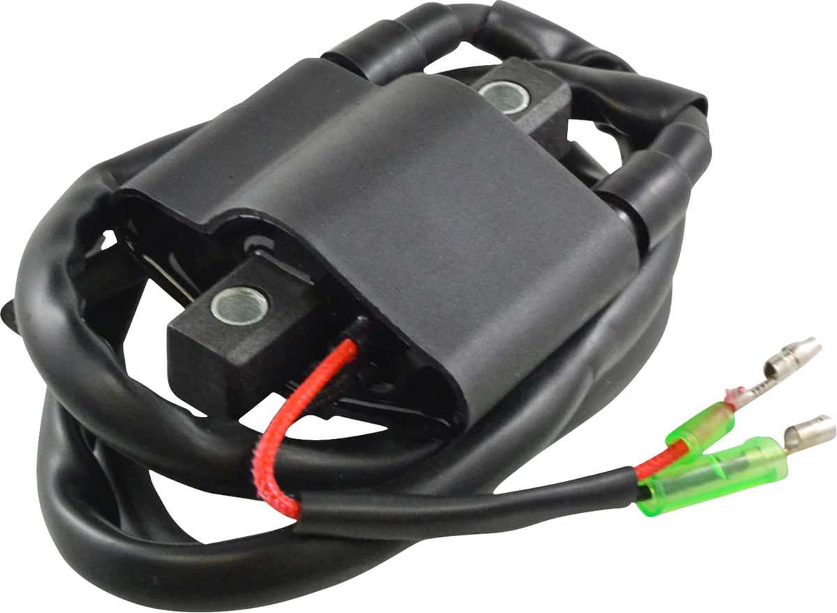 RM Stator Ignition Coil