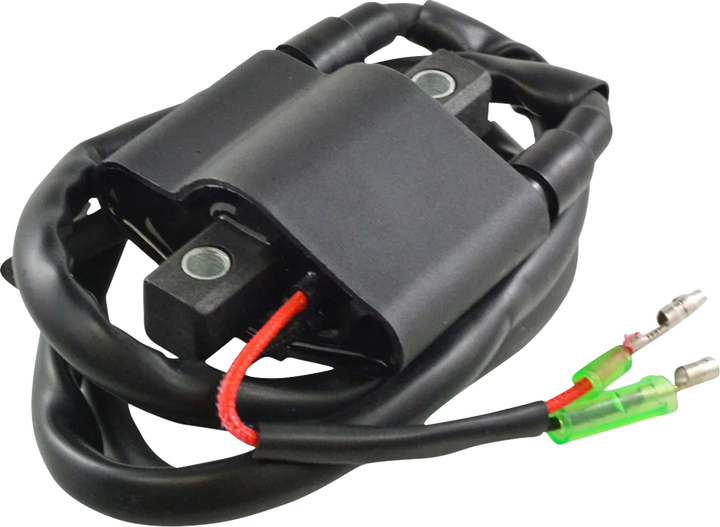 RM Stator Ignition Coil
