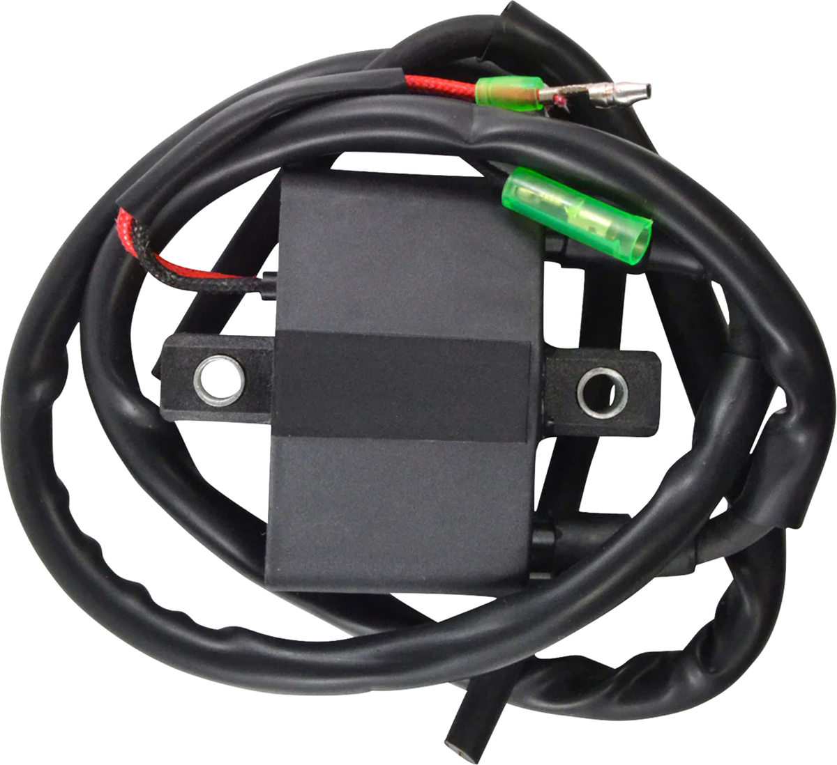 RM Stator Ignition Coil