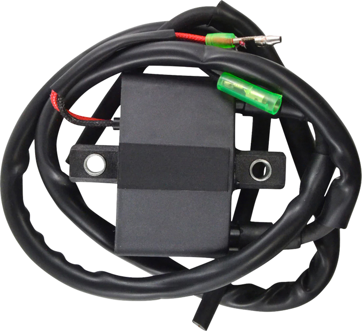 RM Stator Ignition Coil