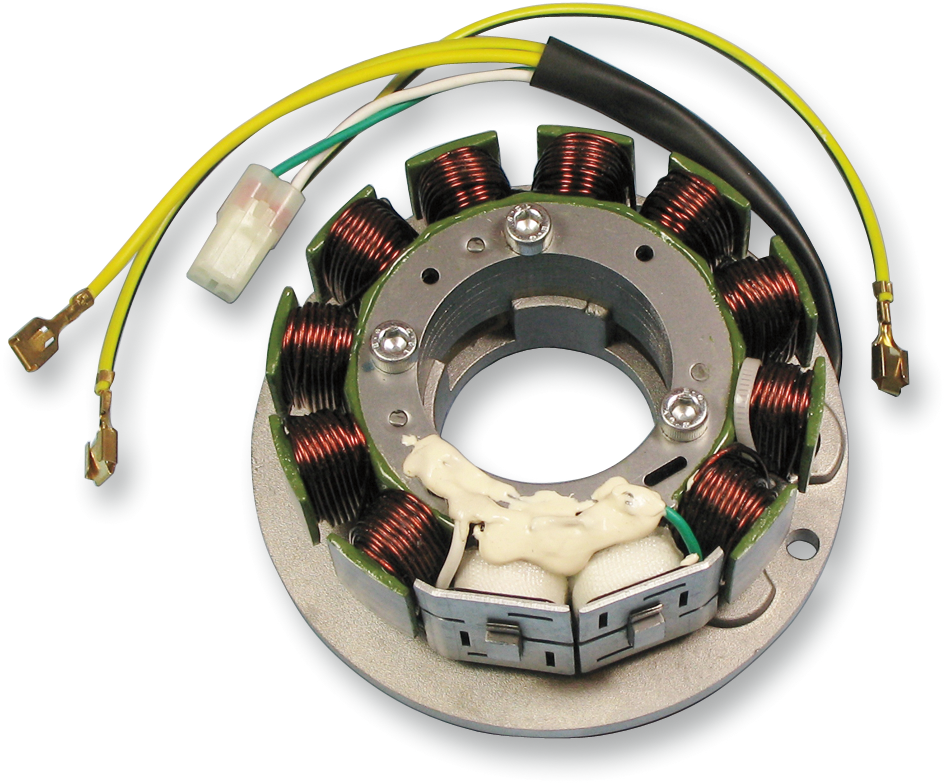 Rick's Motorsport Electric Stator