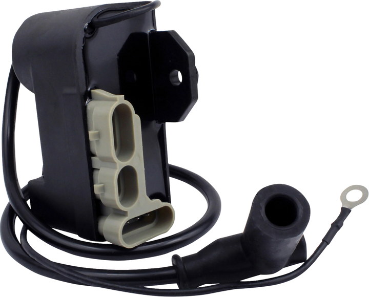 RM Stator CDI Box Ignition Coil