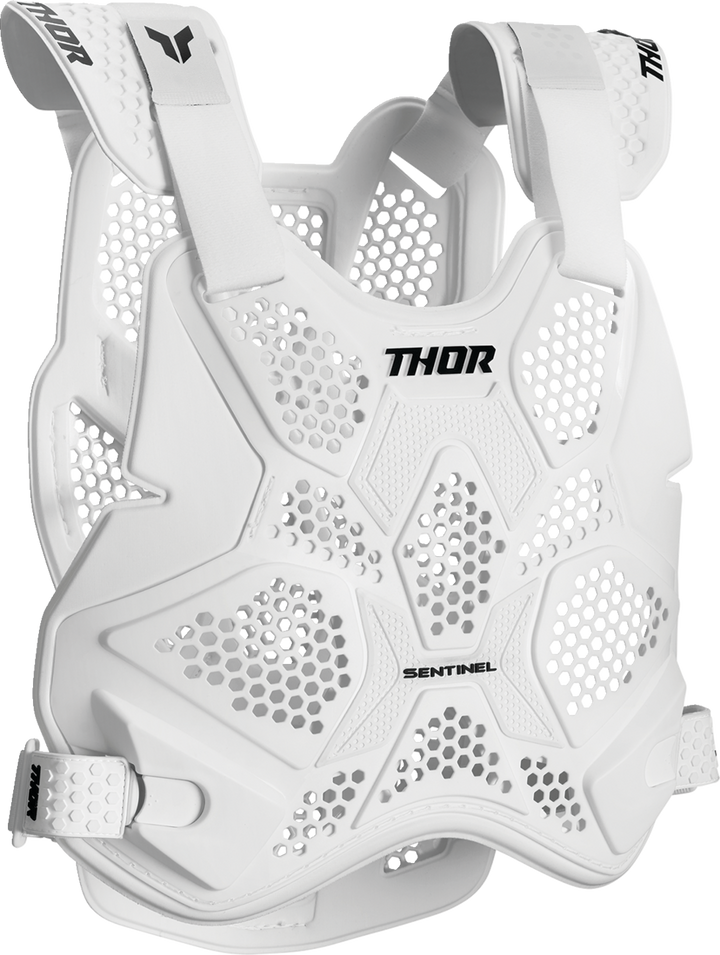 Thor Sentinel LTD Guard