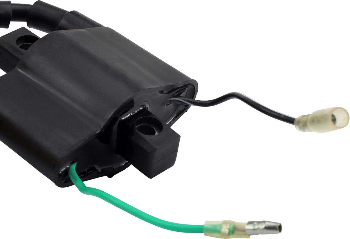 RM Stator Ignition Coil