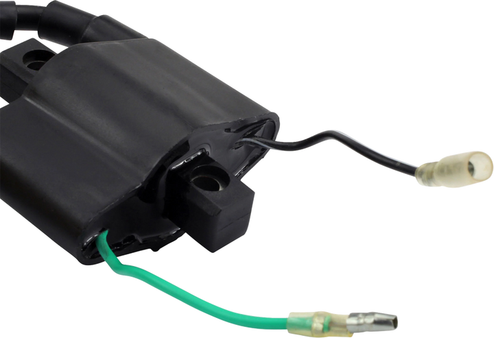 RM Stator Ignition Coil