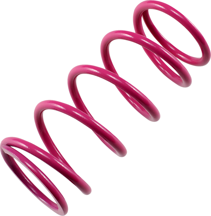 EPI Primary Clutch Spring
