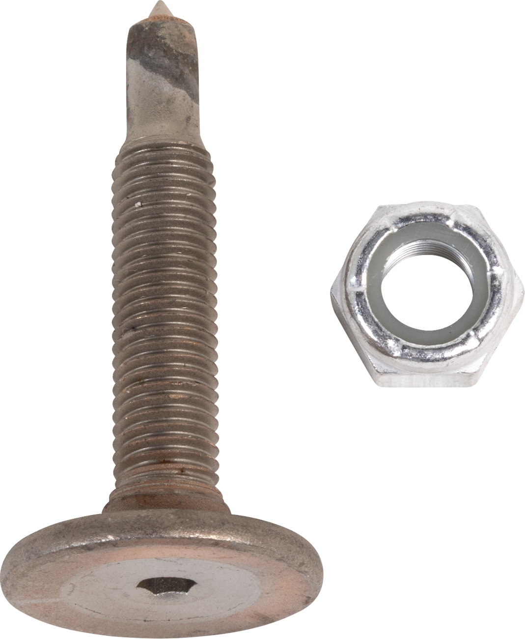 Woody's Signature Series™ Carbide Studs