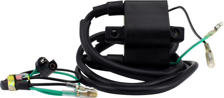 RM Stator Ignition Coil