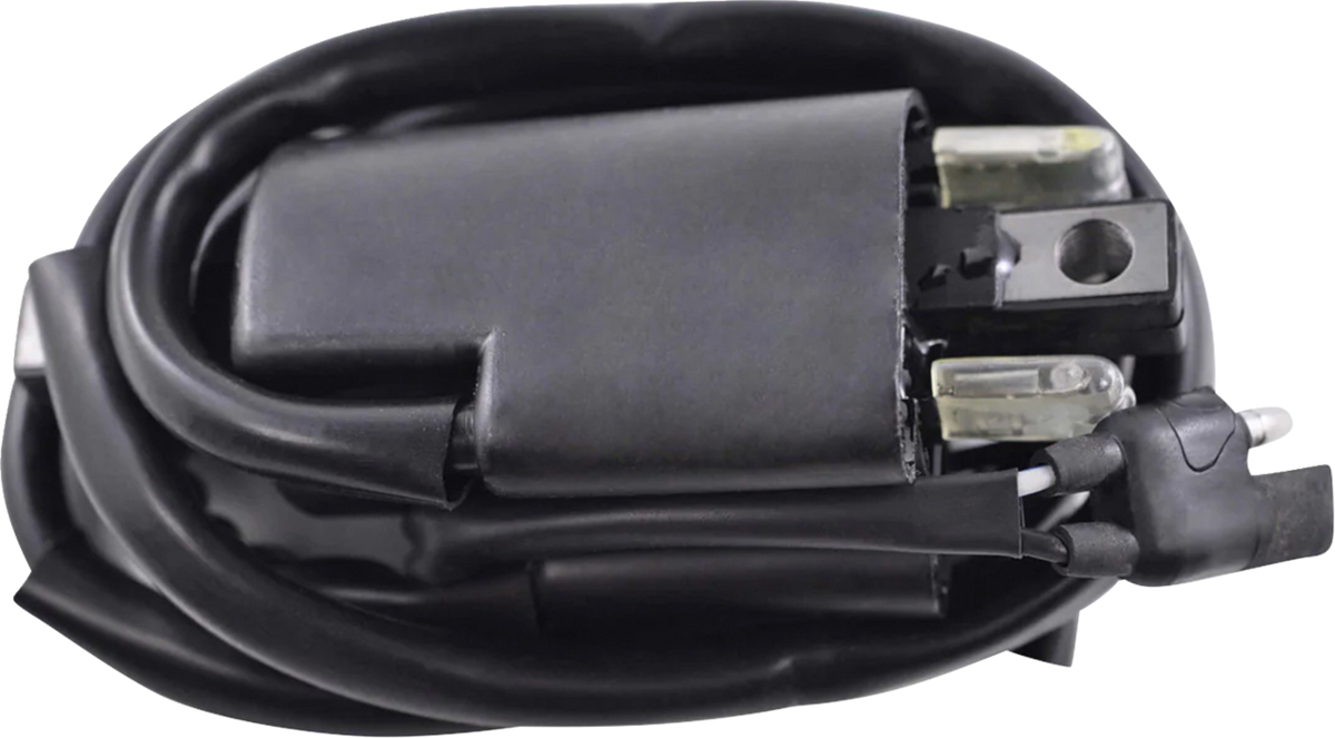 RM Stator Ignition Coil