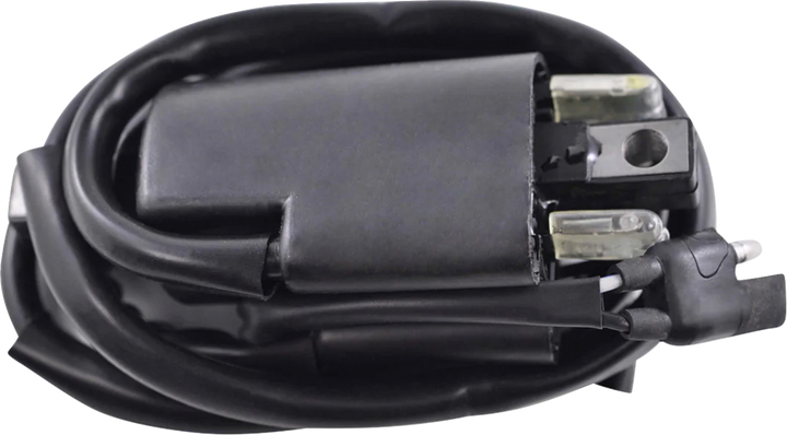 RM Stator Ignition Coil
