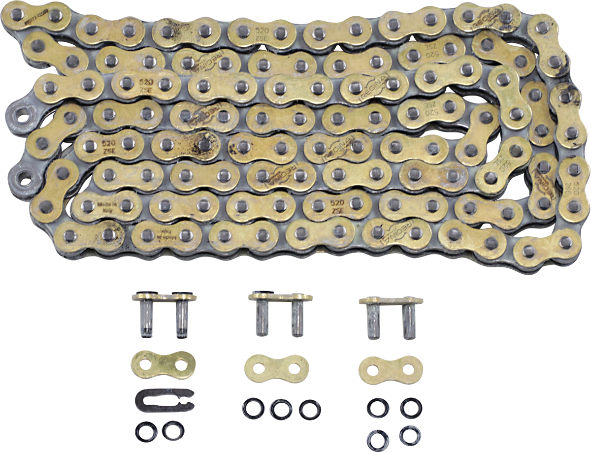 REGINA 520 ZSE Drive Chain, 118 Links, Part 135ZSE/1003