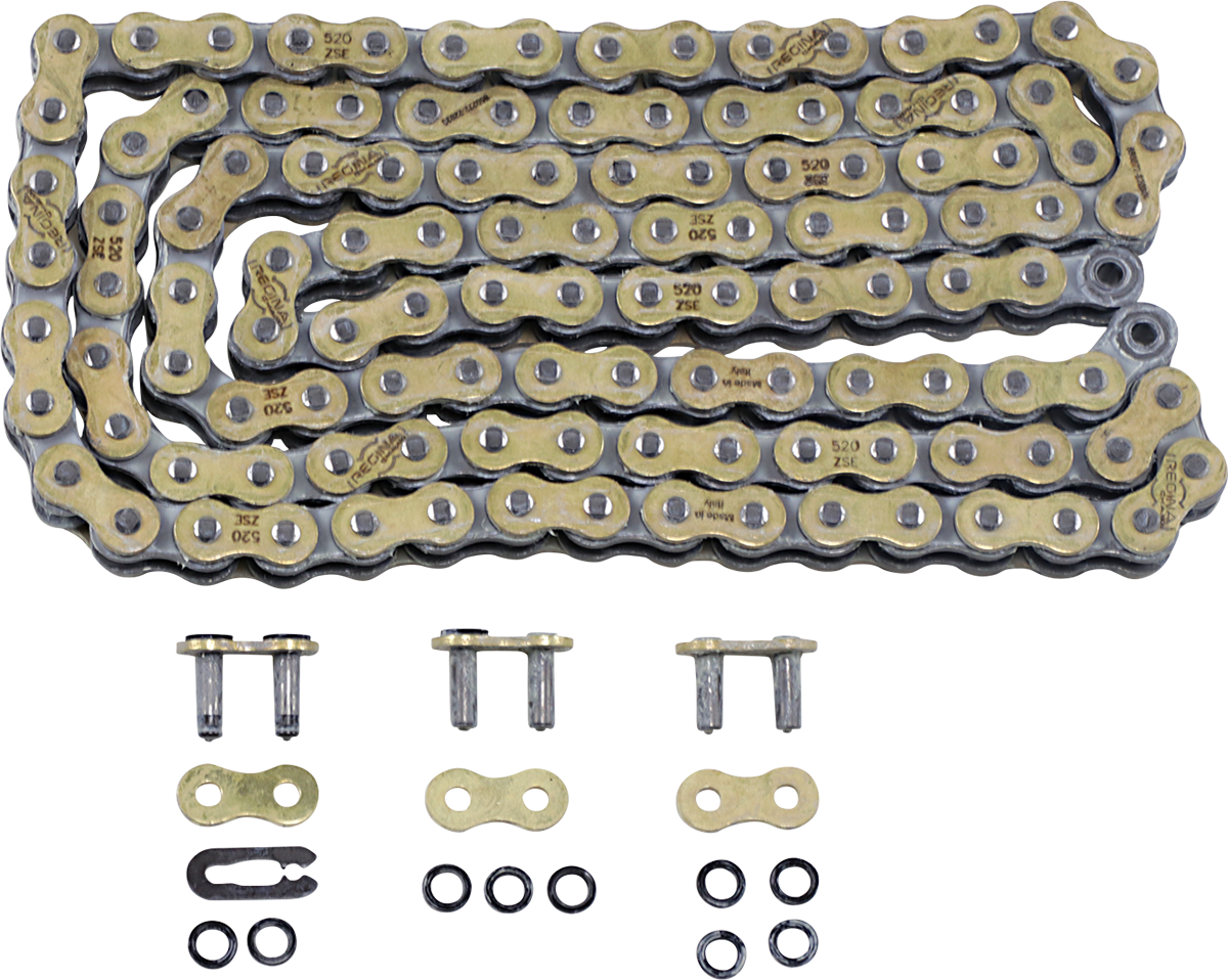 REGINA 520 ZSE Drive Chain, 120 Links, Part Number 135ZSE/1004