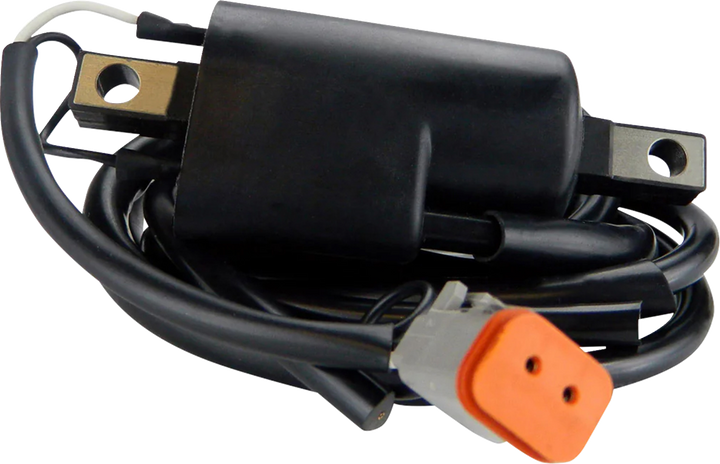RM Stator Ignition Coil