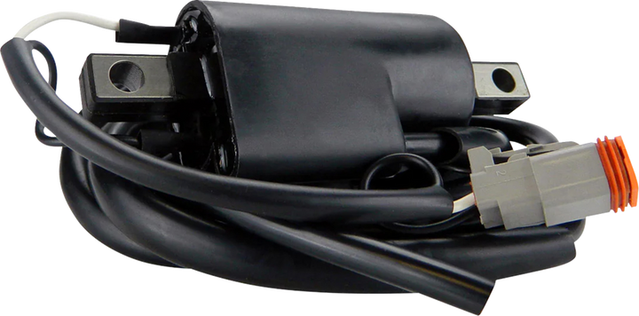 RM Stator Ignition Coil