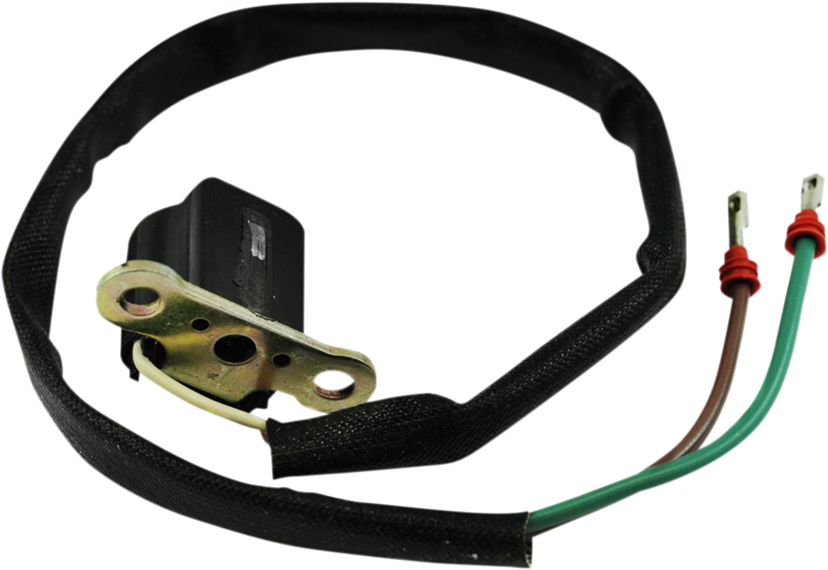 Kimpex Pickup Coil Assembly