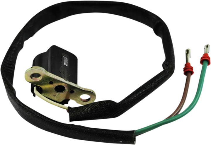 Kimpex Pickup Coil Assembly
