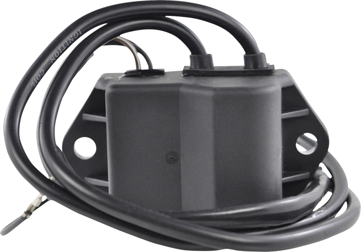 RM Stator CDI Box