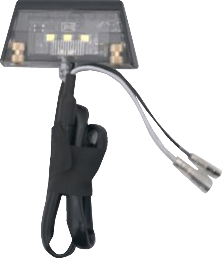 Ravek License Plate Light