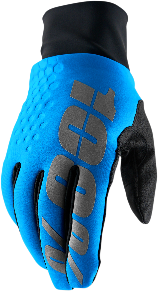 100% Hydromatic Brisker Gloves