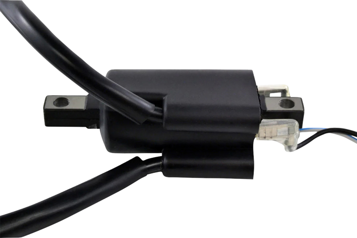 RM Stator Ignition Coil