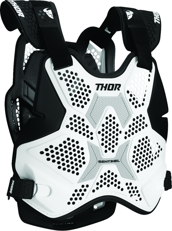 Thor Sentinel Pro Guard