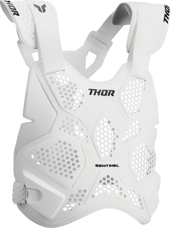 Thor Sentinel LTD Race Guard