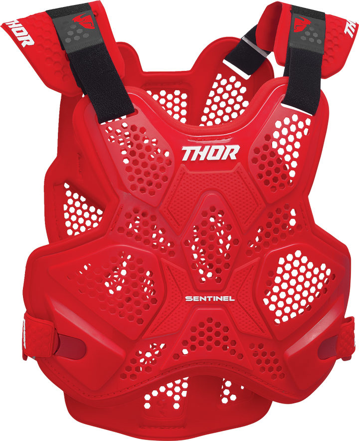 Thor Sentinel LTD Roost Guard