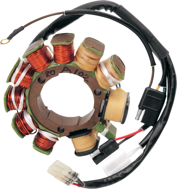 Rick's Motorsport Electric Stator