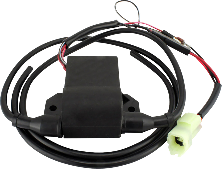 RM Stator CDI Ignition Module