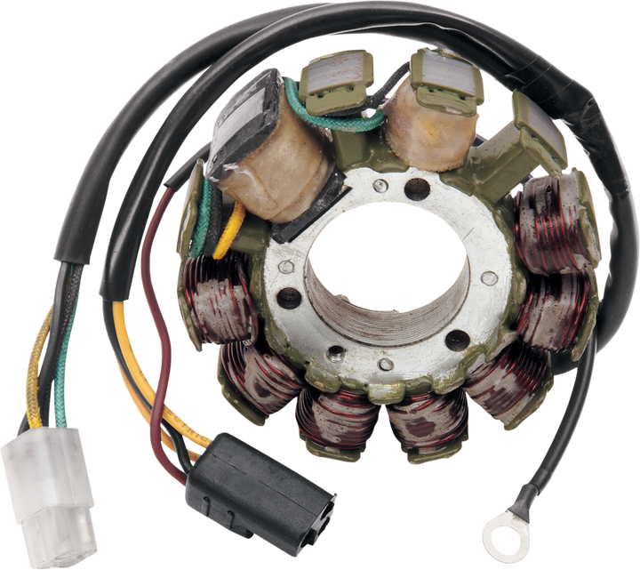 Rick's Motorsport Electric Stator