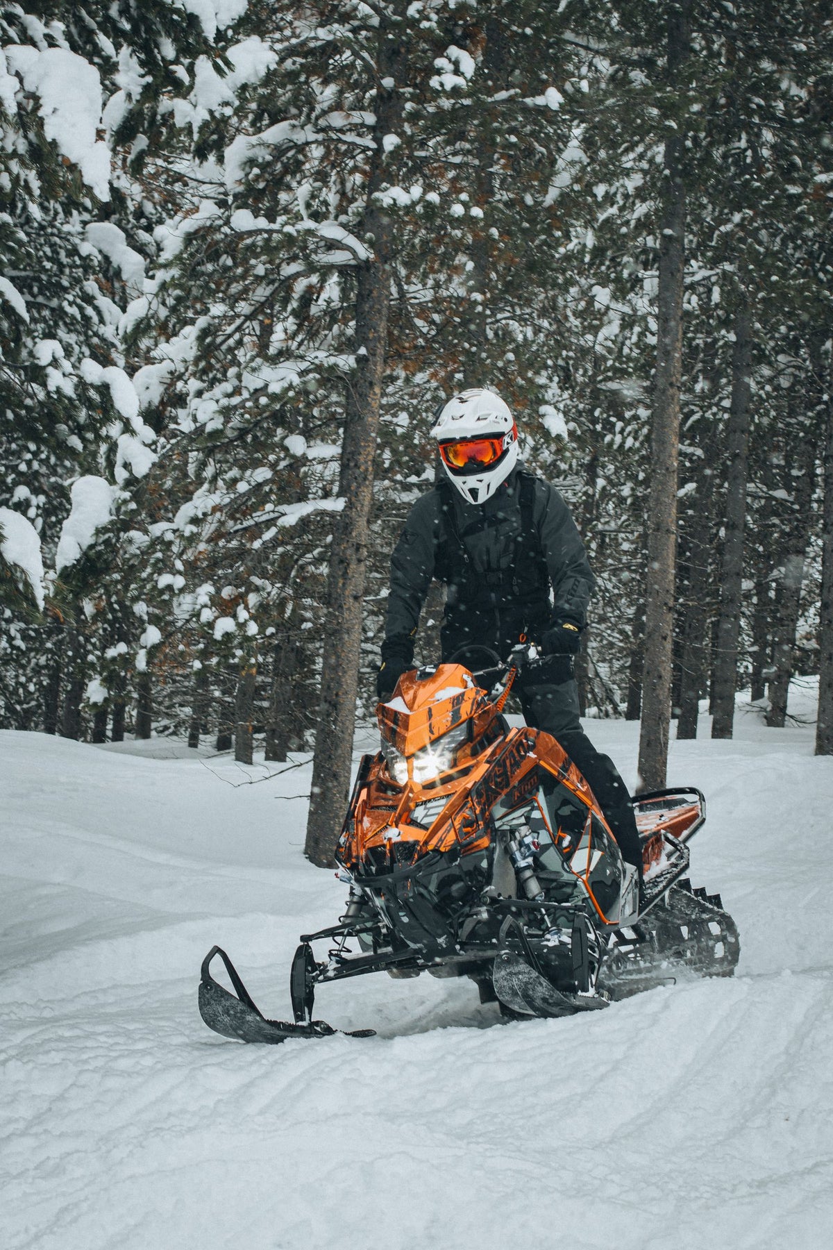 Snowmobile rider in the woods